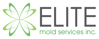 Elite Mold Services