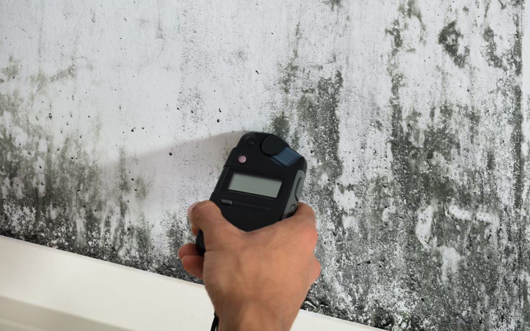 buying a house with mold