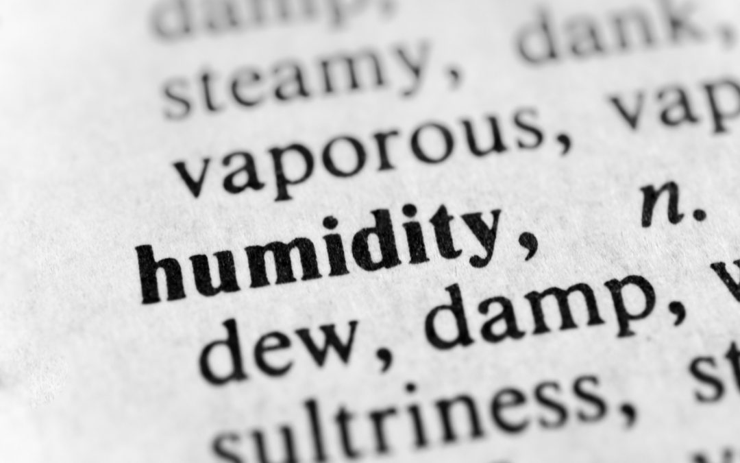 High Humidity: The Mold Source You Didn’t Know About (And How To Fix It!)