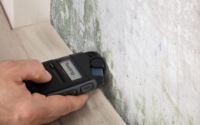 Is Mold Inspection and Testing Necessary?