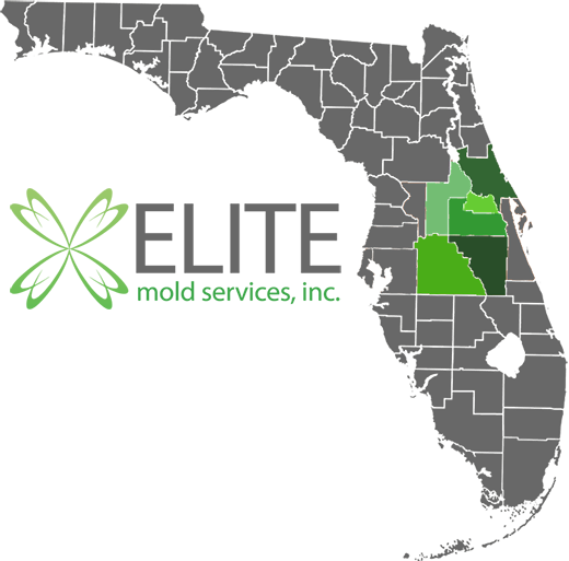 Elite Mold Service Areas