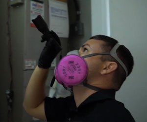 Complete Mold Inspection