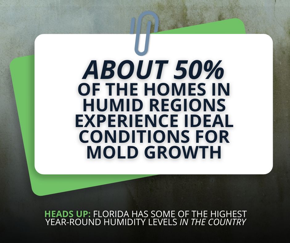 importance of home mold inspections in florida