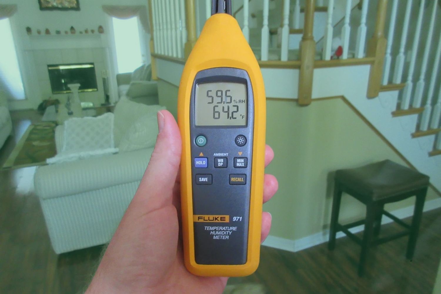 home mold inspection