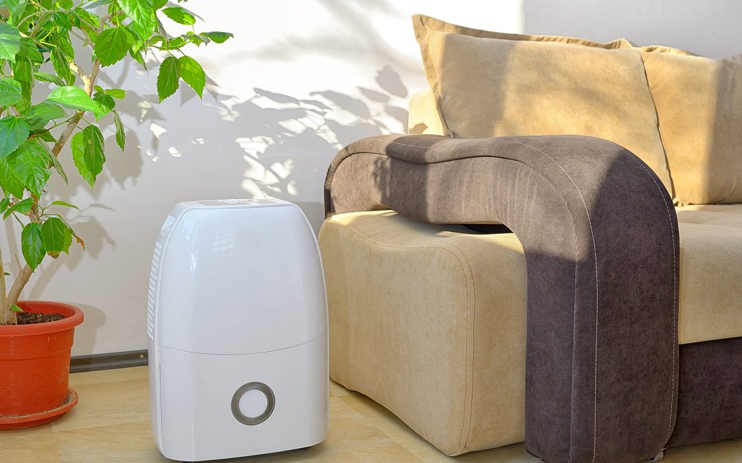 Breathing Easy: The Best Indoor Air Quality Products to Consider for Your Home