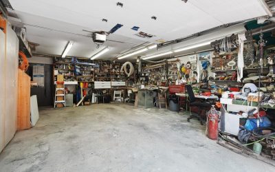 Mold in Garage: What to Know
