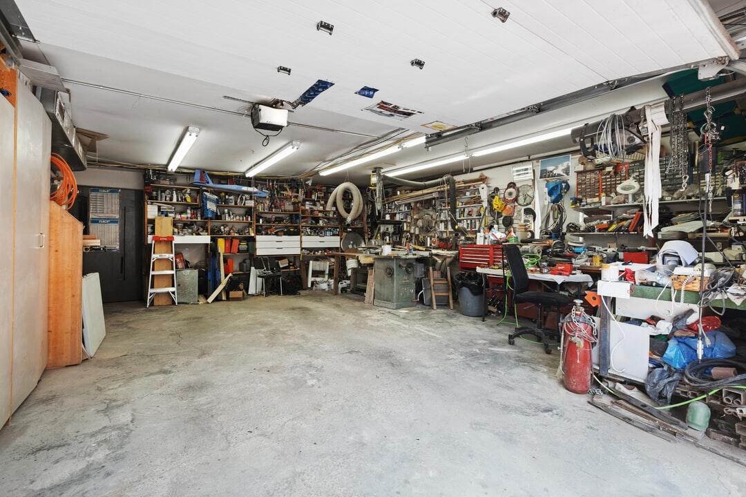 mold in garage