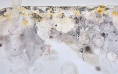 14 Types of Mold in Homes to Watch Out For
