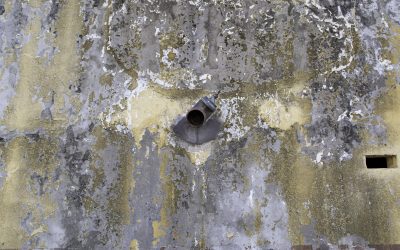 Can Mold Grow on Concrete? Understanding the Risks and Prevention