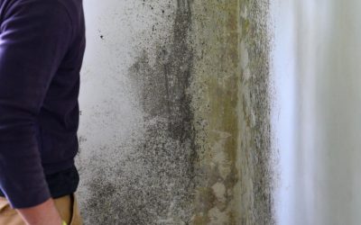 Can Mold Cause Cancer? What You Need to Know