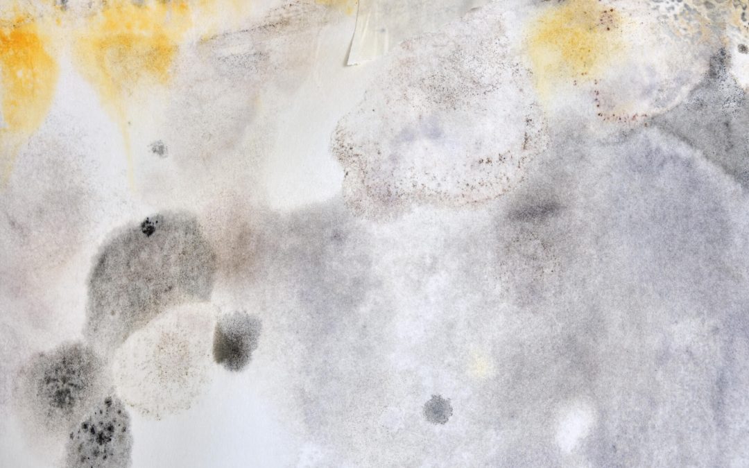 is mold on concrete dangerous