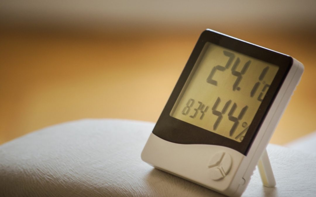 humidity for mold growth
