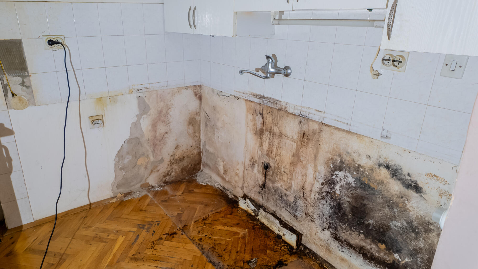 mold prevention
