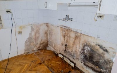 6 Essential Mold Prevention Strategies for Your Home