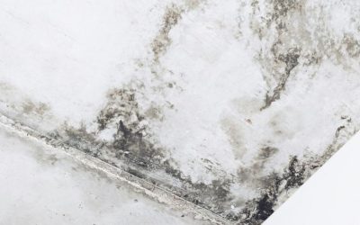 The Science Behind Mold Detection with Thermal Imaging