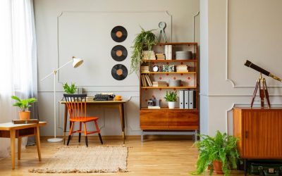 Signs You Need to Mold Remediation Specialist (and Not a DIY Kit)