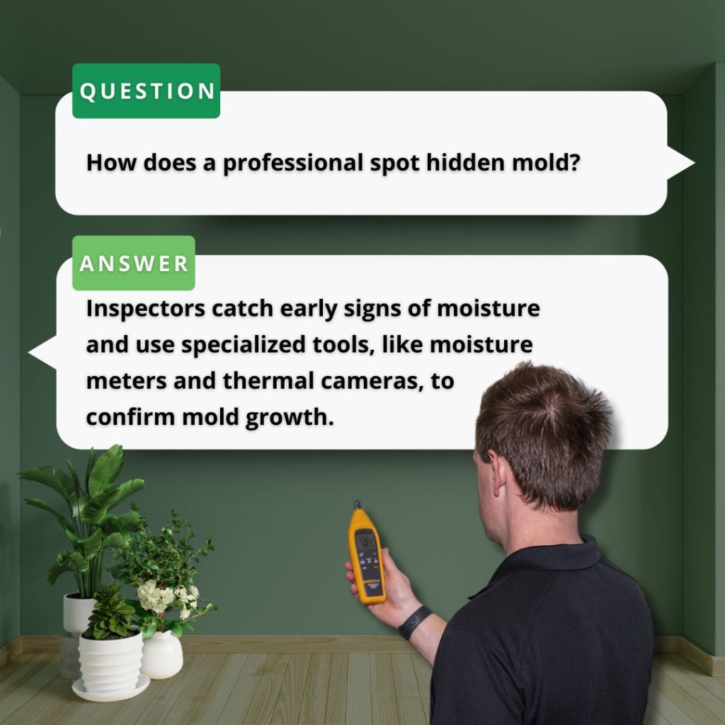 mold inspection equipment