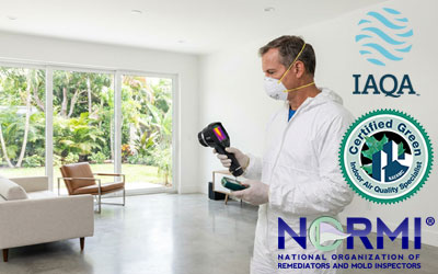 Quality Florida Mold Inspections