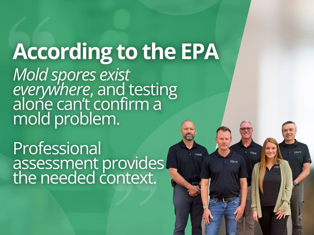 EPA mold stat why a DIY kit lacks critical context and insight