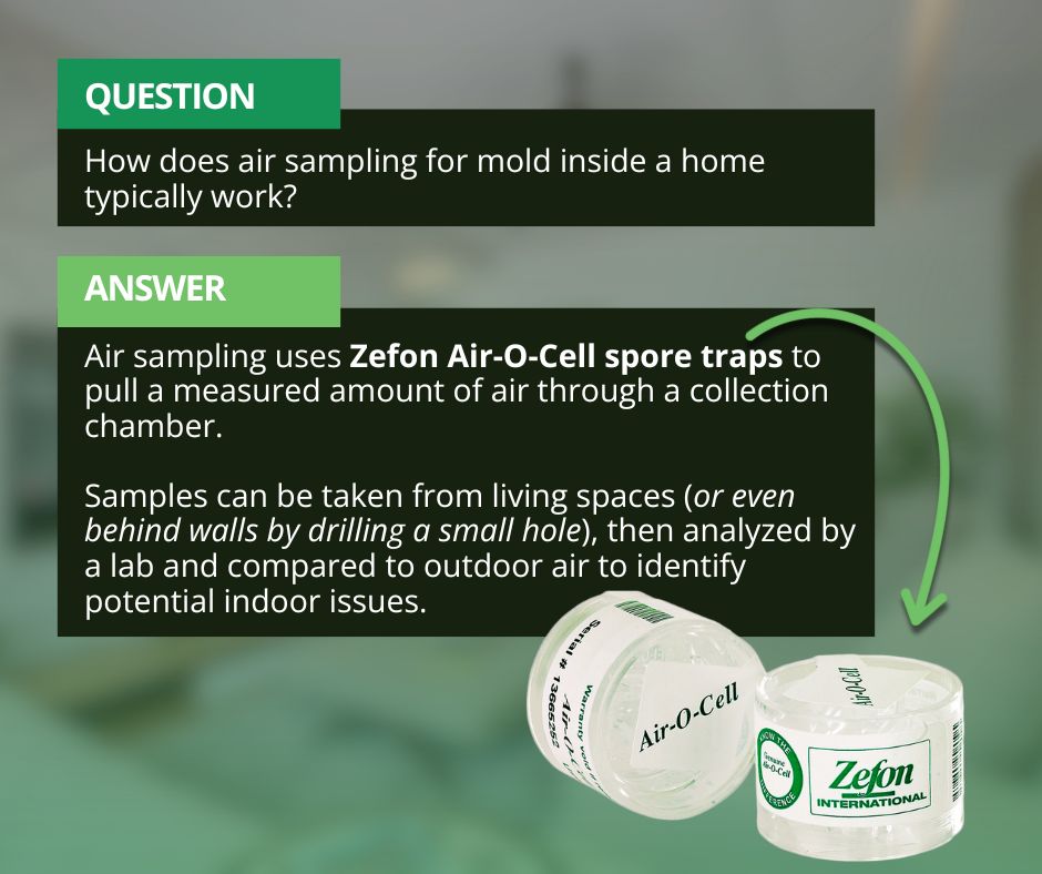 how air sample mold testing works