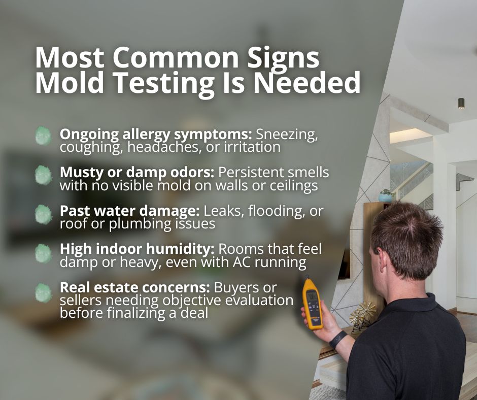 signs you should call a professional to test for mold in air