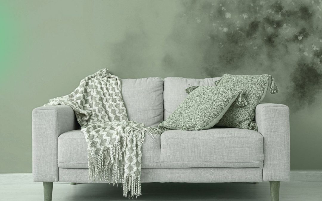 why not to trust diy mold test kits