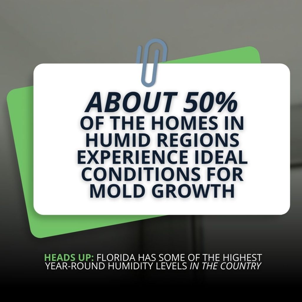 risk factors for mildew and mold