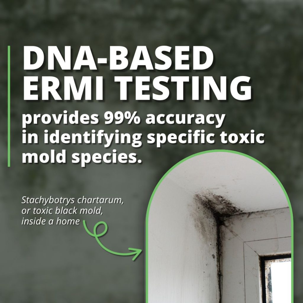 ermi testing for black mold stat