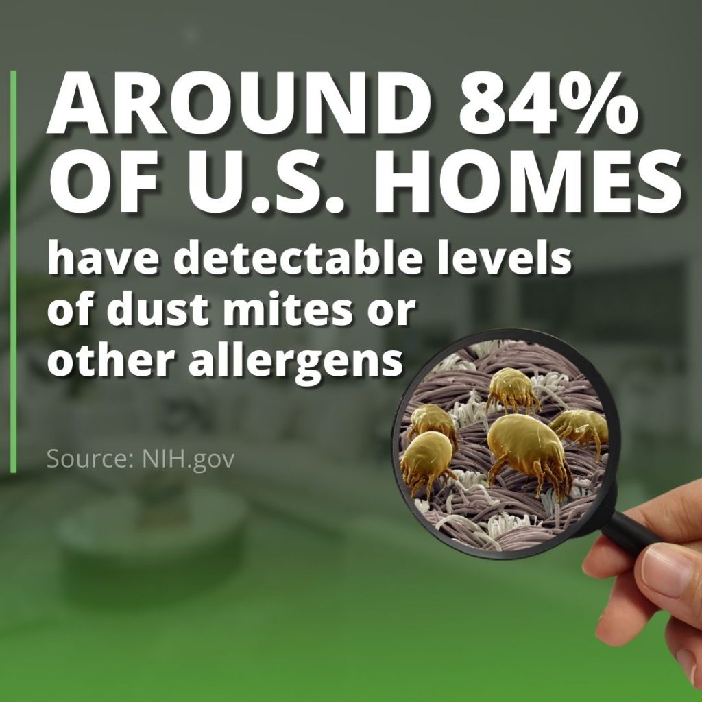 prevalence of home allergen testing