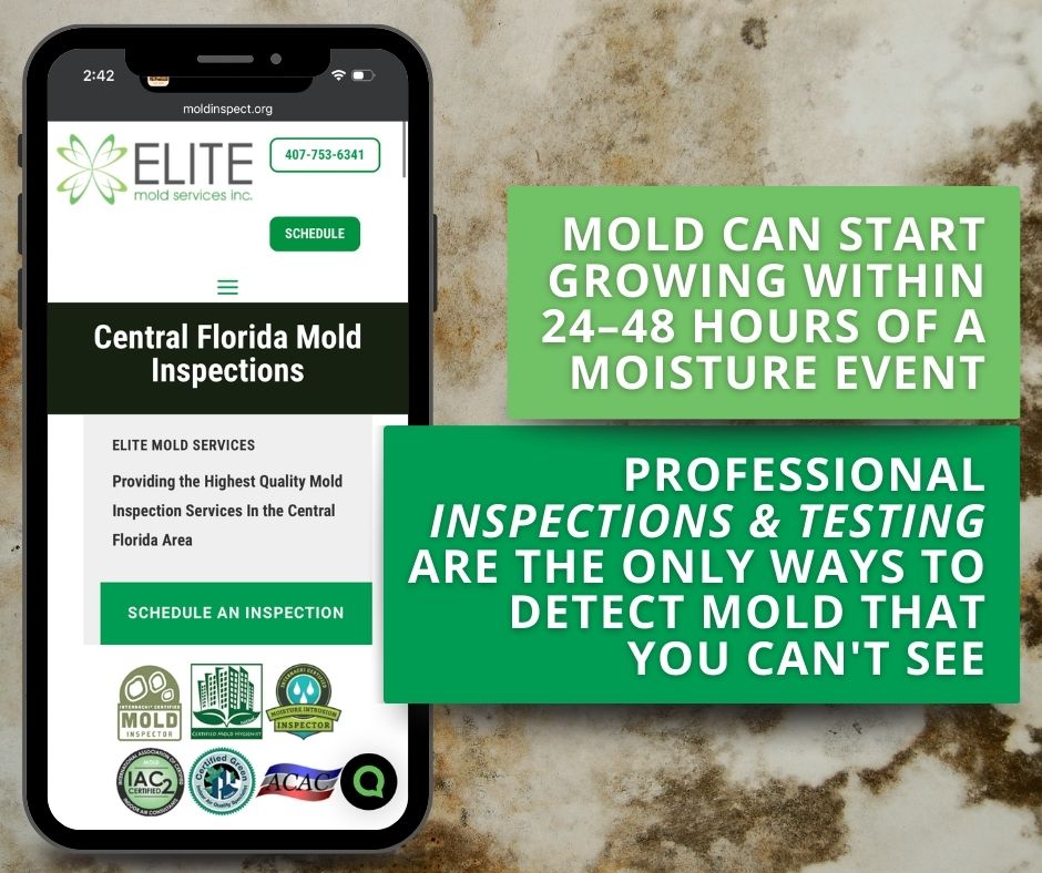 get mold inspections and testing to avoid illness symptoms from exposure
