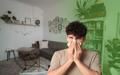 What Does a Home Allergen Test Tell You About Your House?