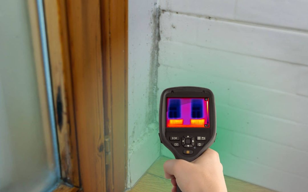 Elite Mold Services explains how thermal imaging works for mold detection in a home