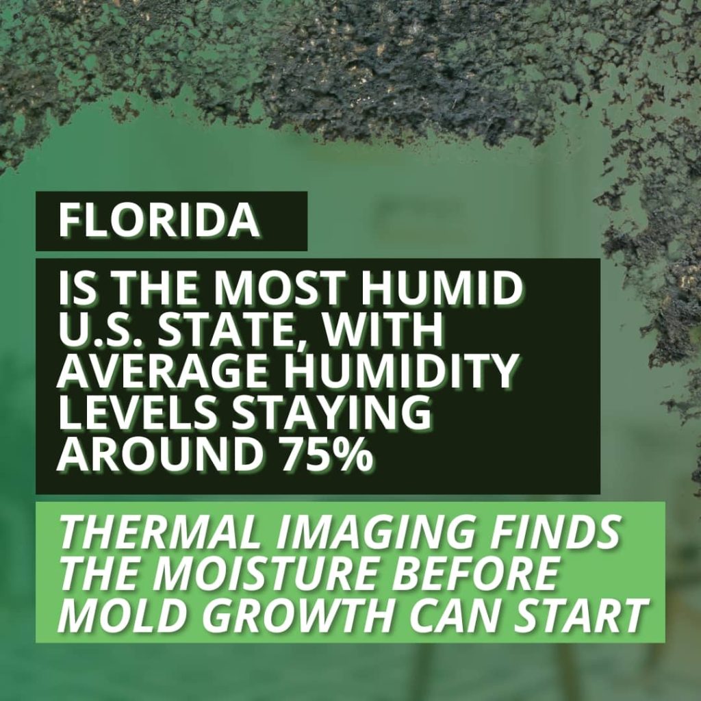 Graphic displaying humidity statistic to illustrate why mold detection is critical for FL homes
