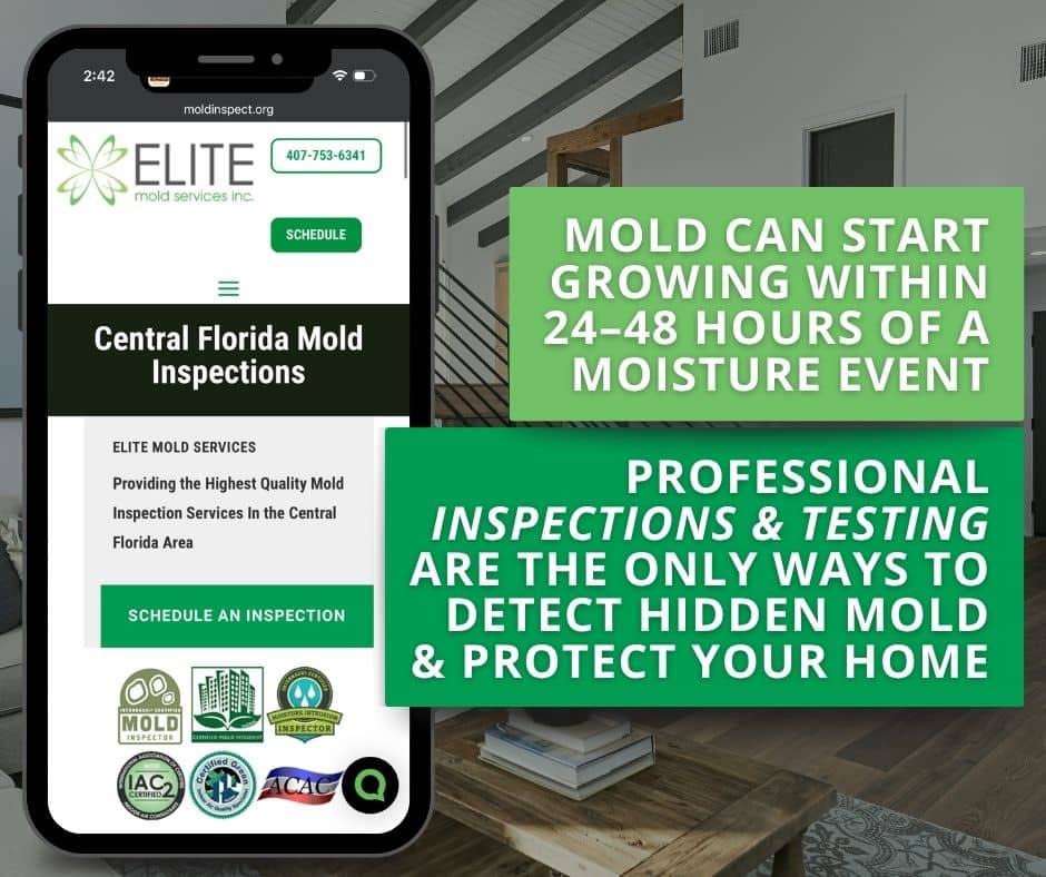 Graphic stating mold grows within 24-48 hours of moisture events, showcasing Elite Mold Services' smartphone scheduling layout.