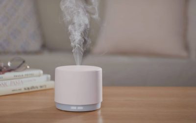 Can Humidifiers Cause Mold? How to Use Them Safely