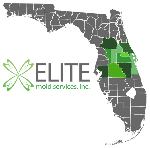 Elite Mold Service Areas