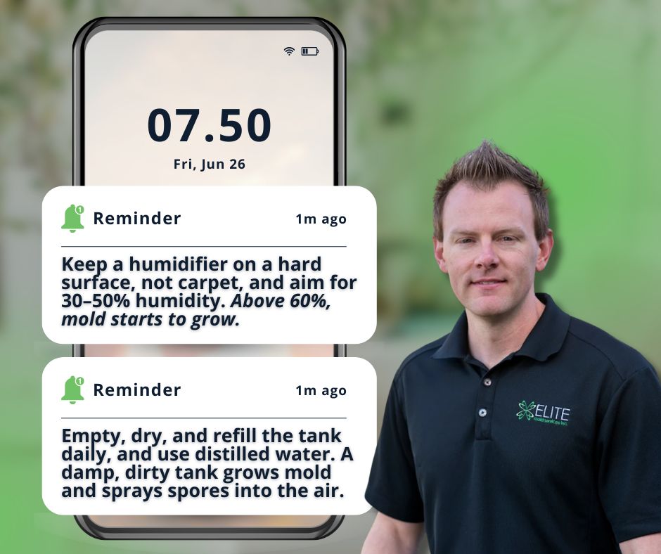 Elite Mold Services inspector sharing humidifier tips: keep humidity at 30 to 50 percent and clean the tank daily to prevent mold