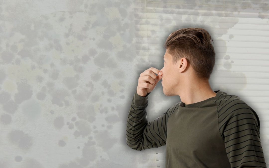 What Does Mold Smell Like? Detecting It in Your Home