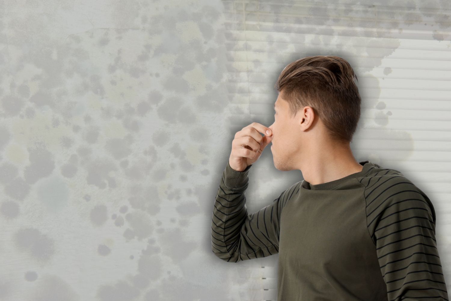 mold smells like cigarette smoke Is this safe to smoke? I saw some people say it can cause to grow in your lungs : r/Cigarettes How to get rid of