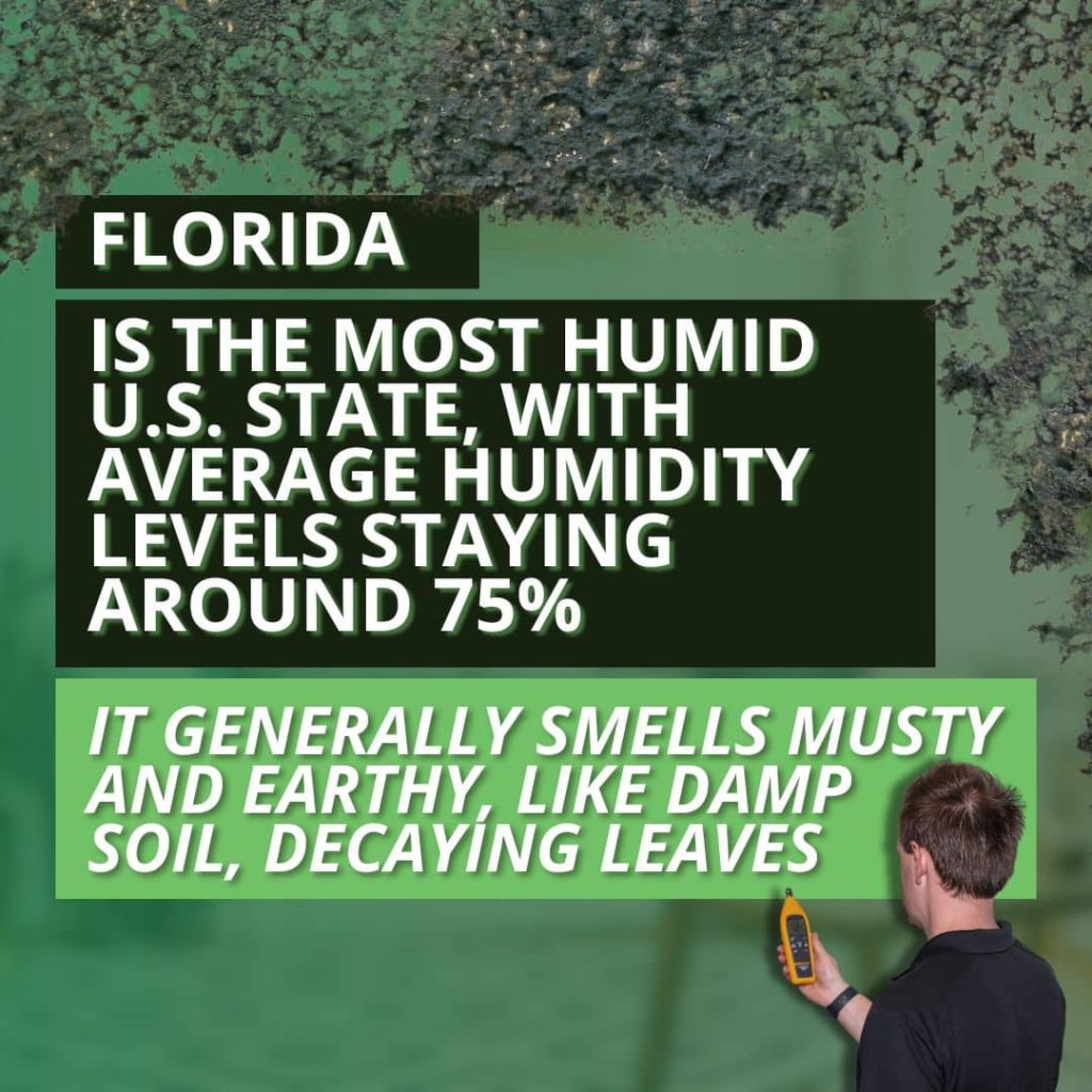 Infographic showing Florida's roughly 75% humidity and that mold smells musty and earthy like damp soil