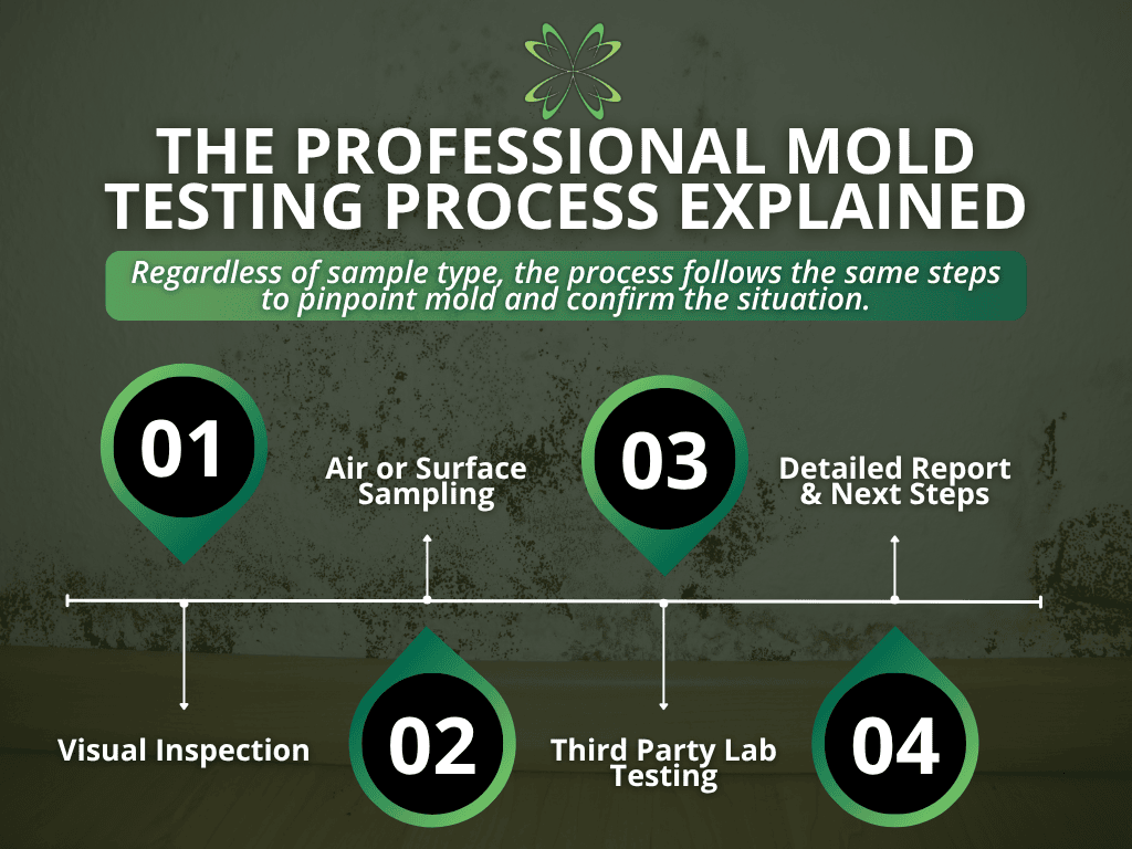 Infographic showing the four steps of the professional mold testing process: visual inspection, sampling, third party lab testing, and a detailed report