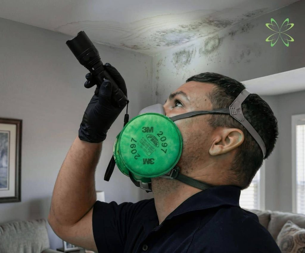 Mold inspector using a flashlight to examine water staining and mold growth on a ceiling.