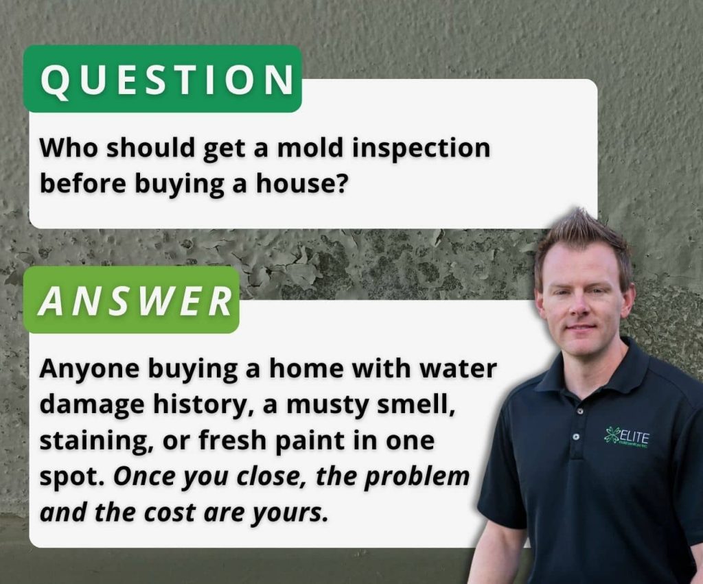 Elite Mold Services graphic answering who should get a mold inspection before buying a house.