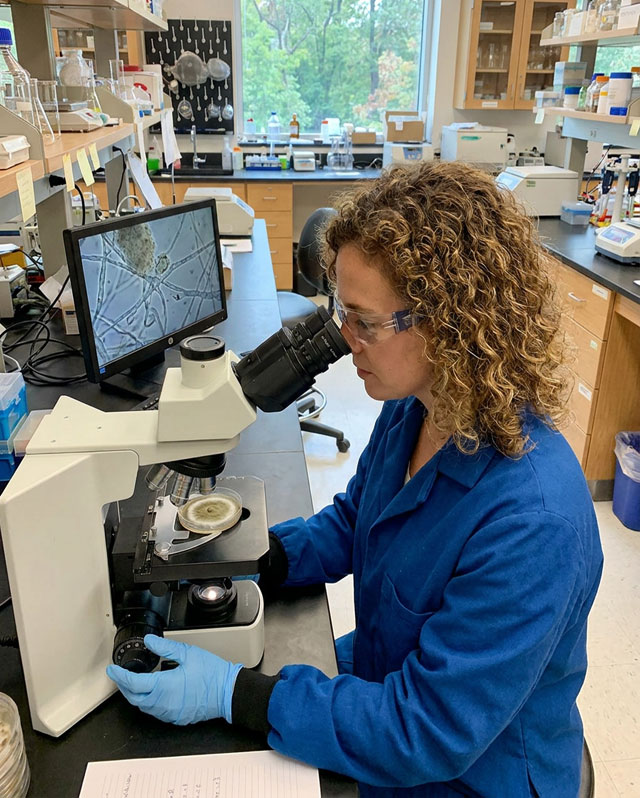 Mold-testing-in-lab
